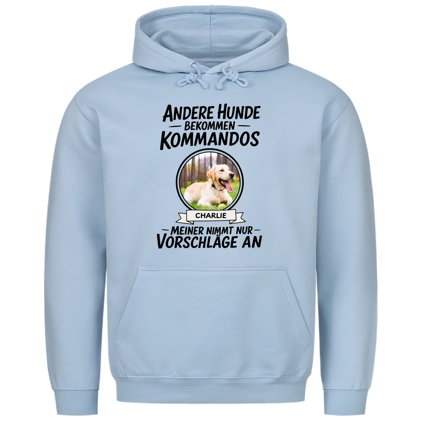 1000x1000 hoodie hellblau vorne