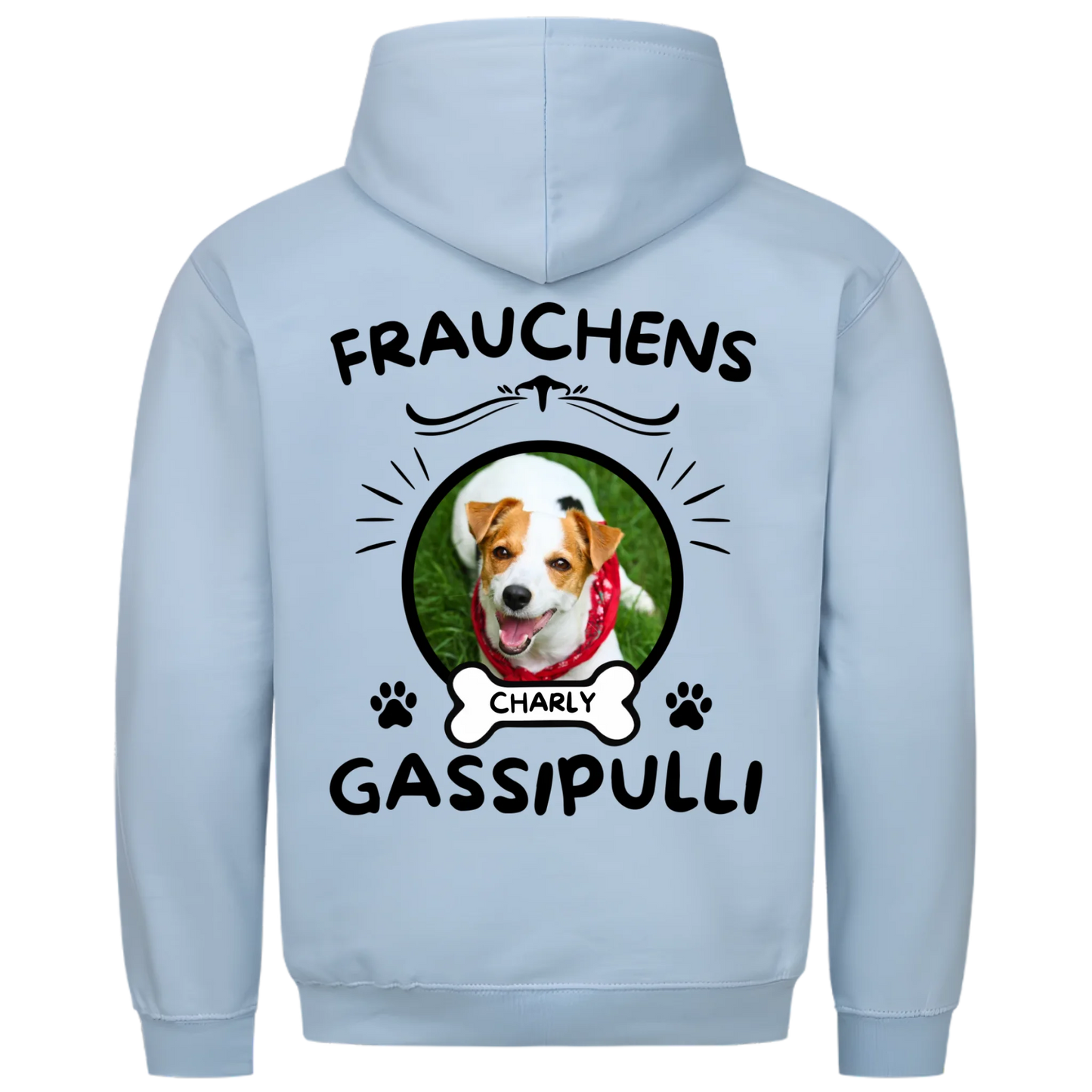1000x1000 hoodie hellblau hinten