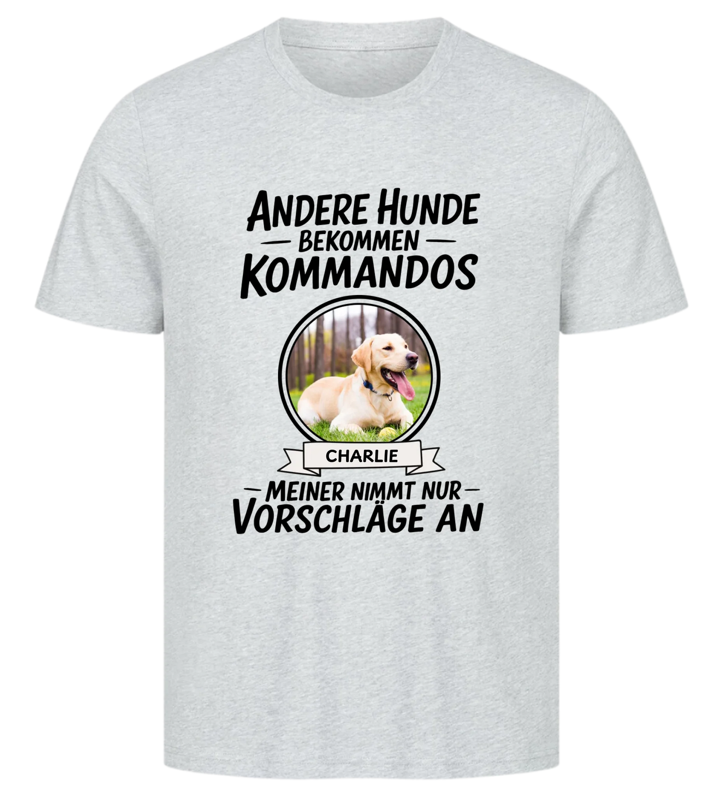 T-Shirt HB Mockup Grau 1000x1100